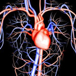 Chantix Cardiovascular Problems