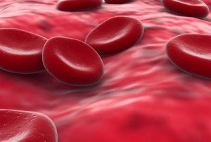 Pradaxa Internal Bleeding illustration