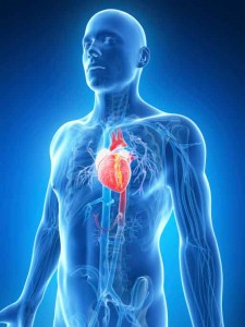 Testosterone Heart Attack Risk